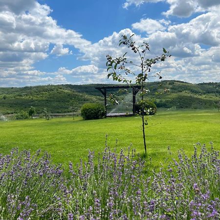 Colina Verde Resort Kişinev Dış mekan fotoğraf