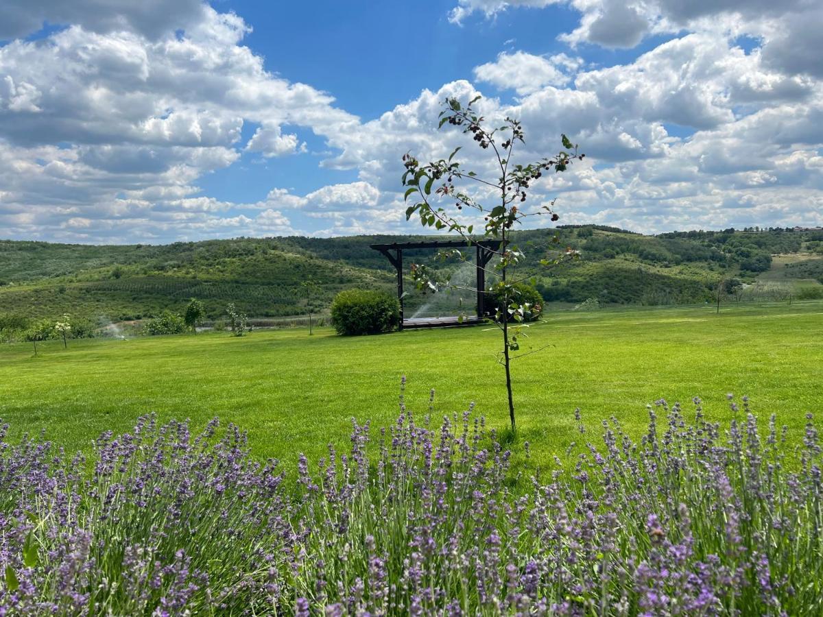 Colina Verde Resort Kişinev Dış mekan fotoğraf