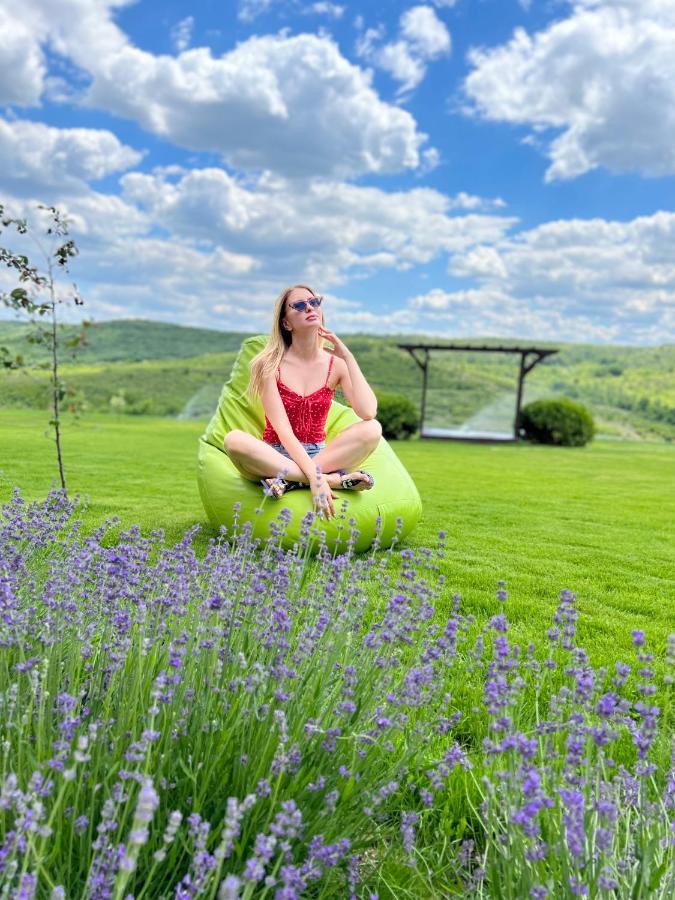 Colina Verde Resort Kişinev Dış mekan fotoğraf