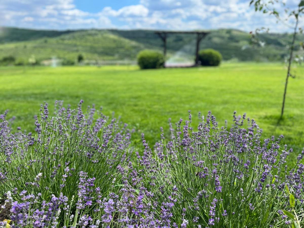 Colina Verde Resort Kişinev Dış mekan fotoğraf